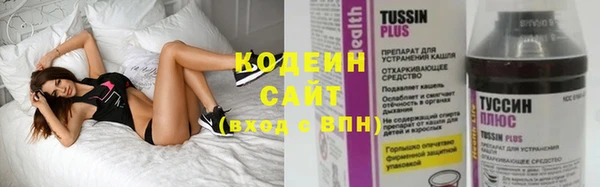 mix Инта