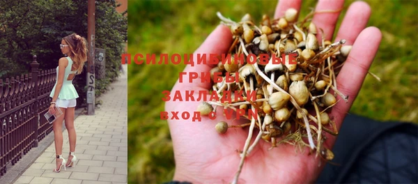 mix Инта